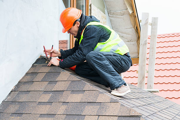 Roof Gutter Cleaning in Pensacola Station, FL